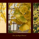 Der Ginkgo-Baum