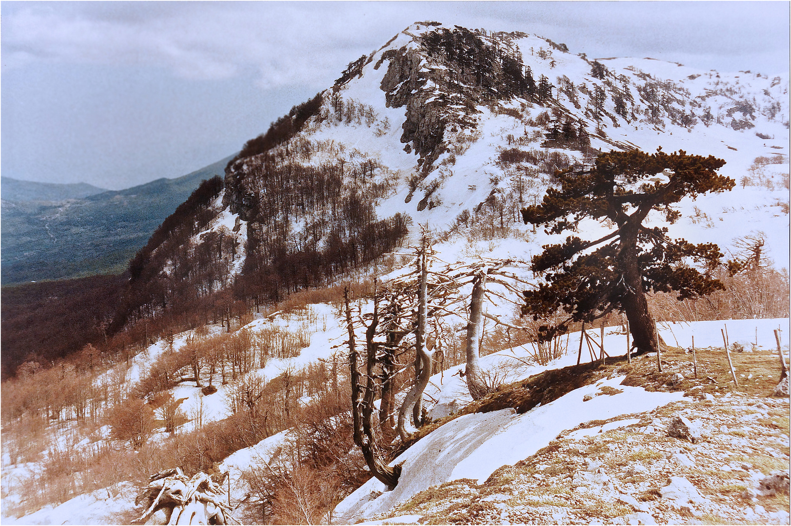 Der Gipfel des Monte Pollino