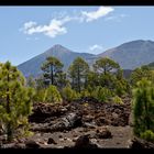 Der Gipfel des Teide...