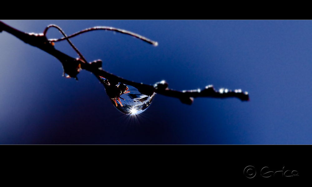 der glanz in der natur