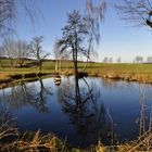 Der gleiche See oberhalb von Weißbach (2)