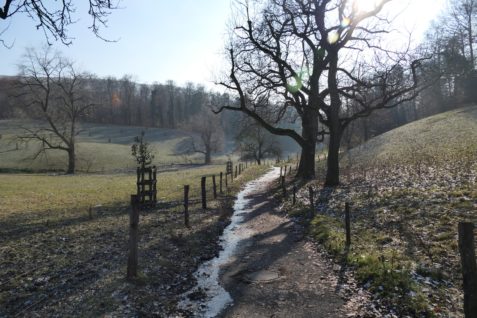 der gleiche Weg in anderem Licht