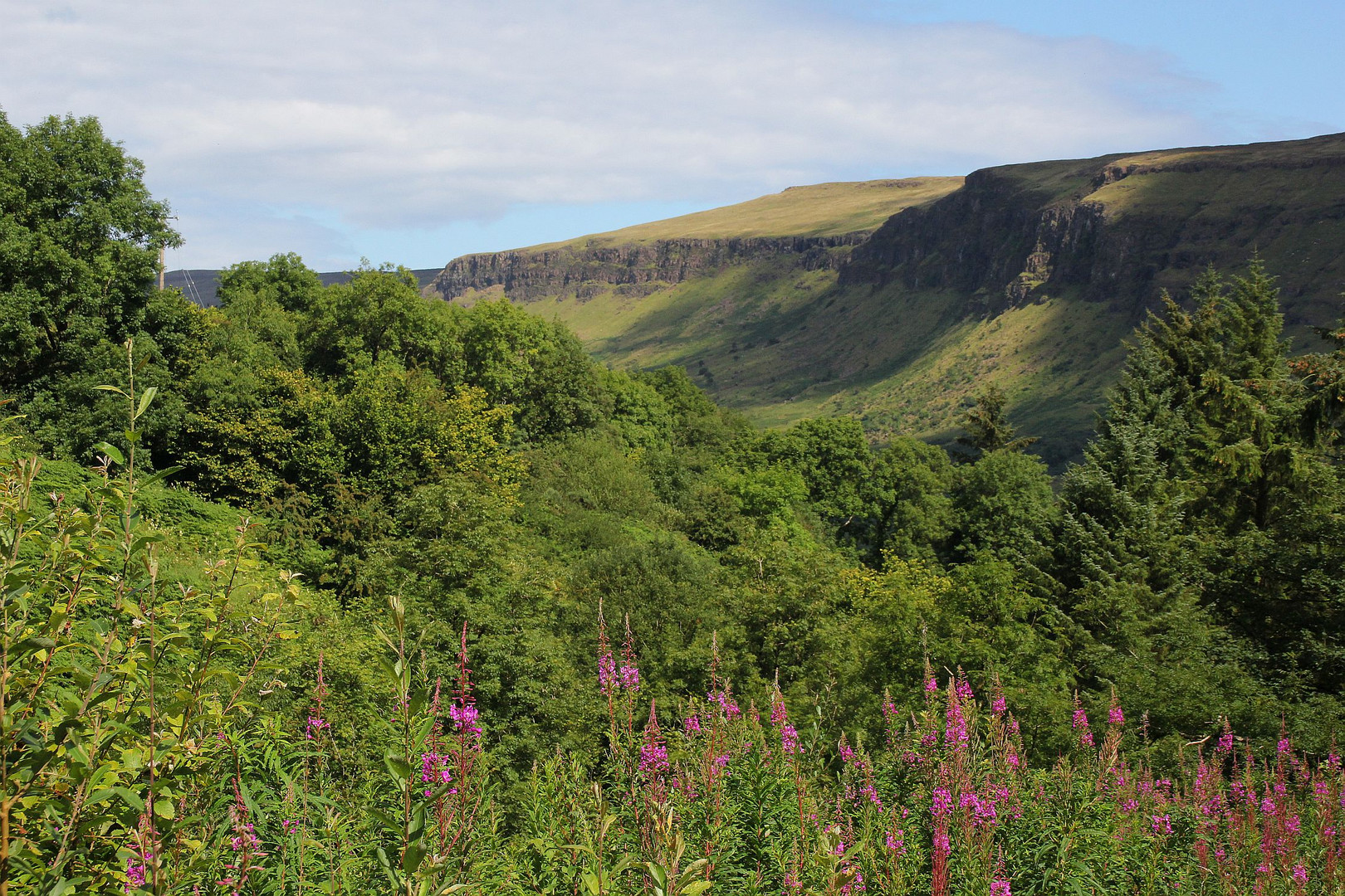 Der Glenariff Forest Park bei Cushendall...