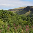 Der Glenariff Forest Park bei Cushendall...