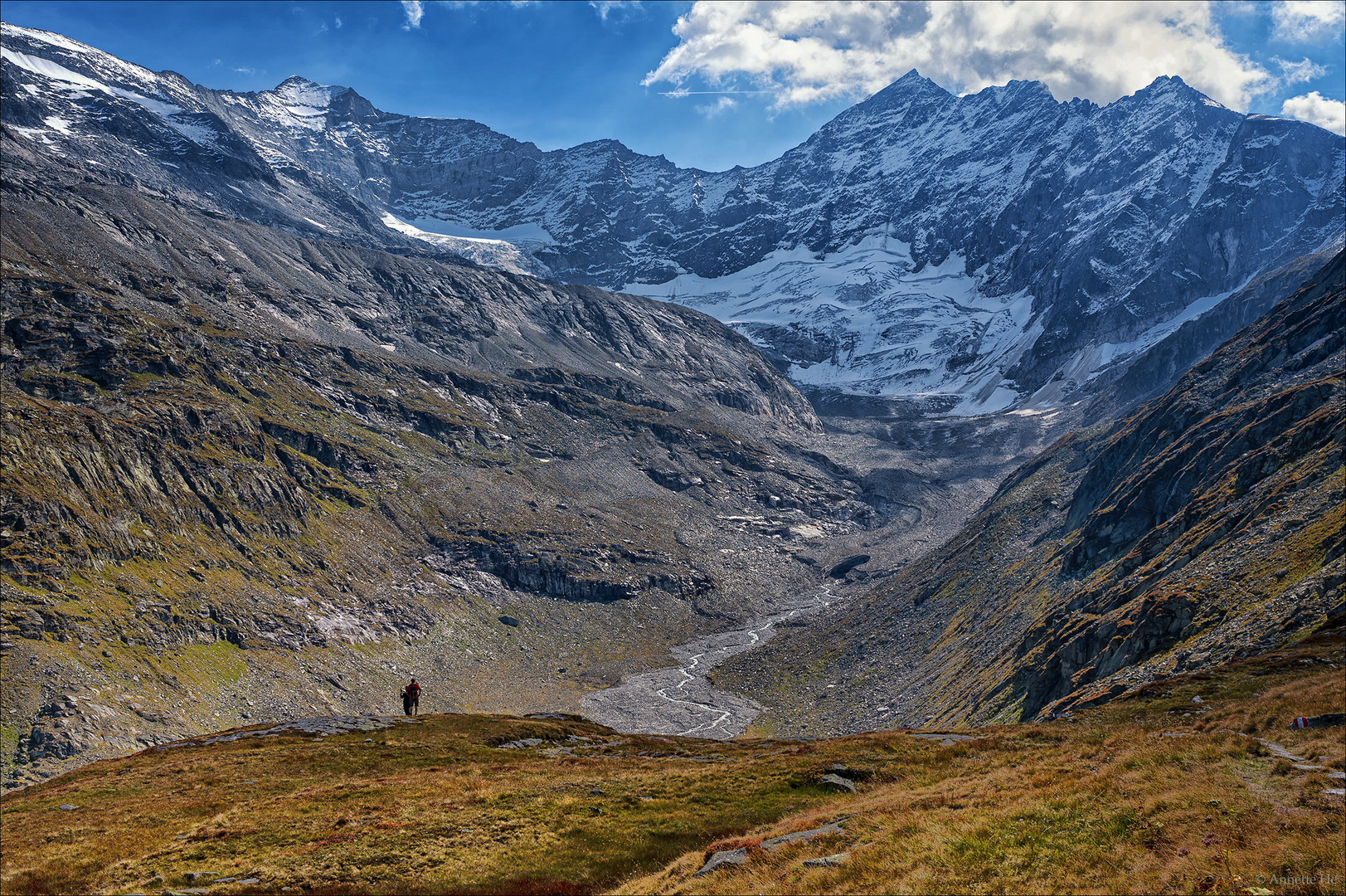 Der Gletscher