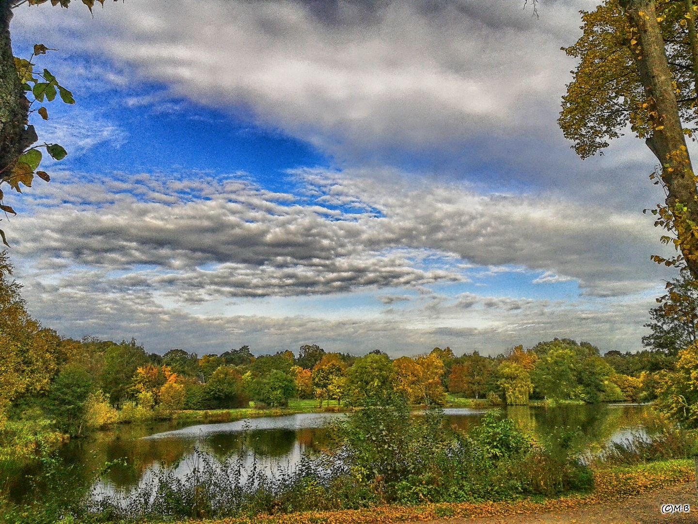 Der Glinder Mühlenteich