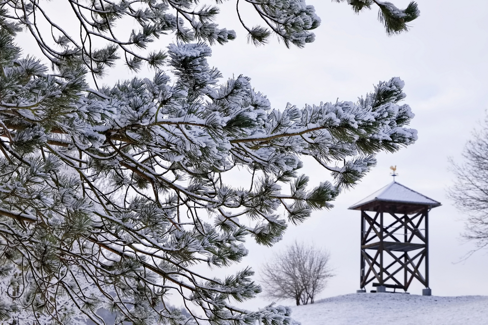 Der Glockenturm 