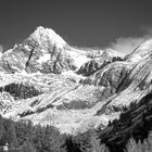 der Glockner