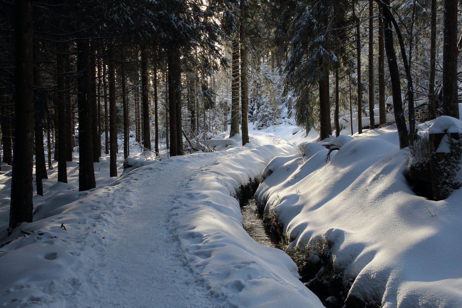 Der Goetheweg