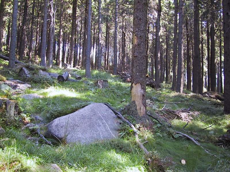 Der Götheweg zum Brocken