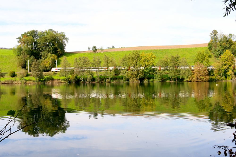 Der Göttersee für Ruderer, der Rotsee