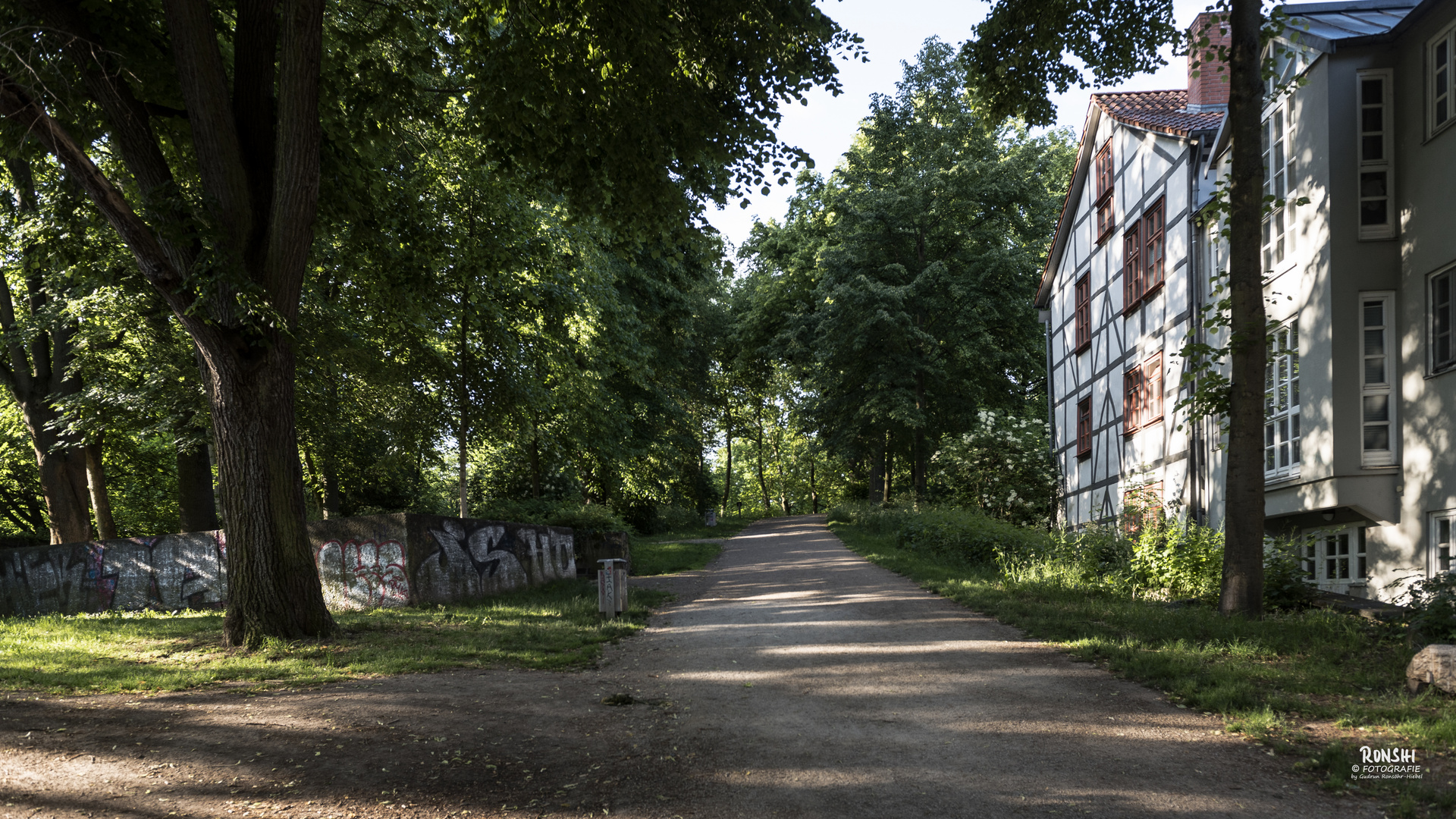 Der Göttinger Wall