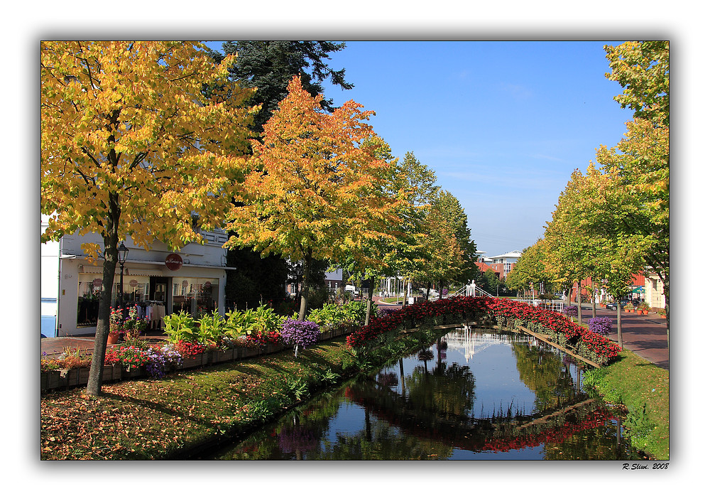 Der Golden Herbst