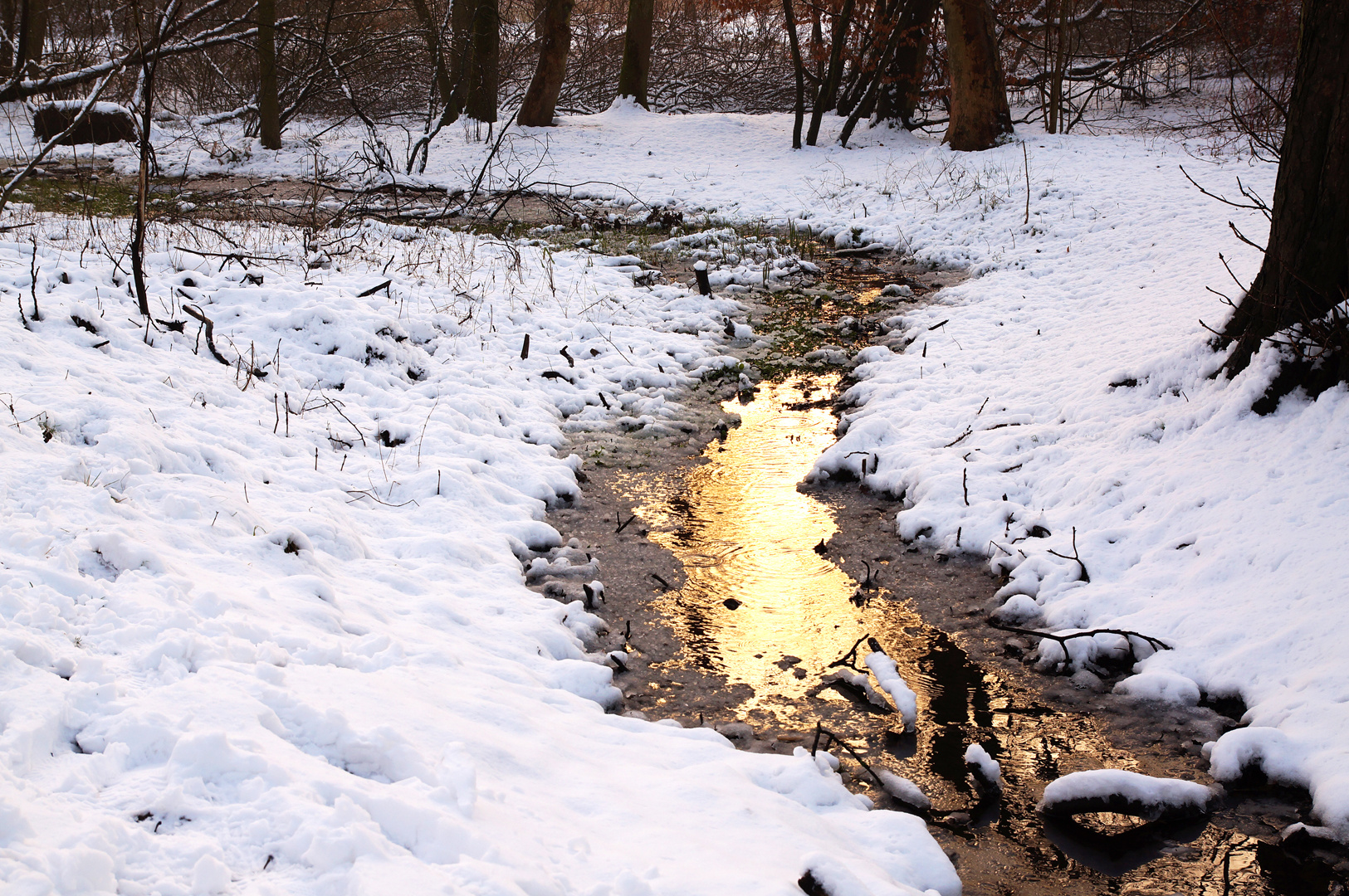 Der goldene Bach