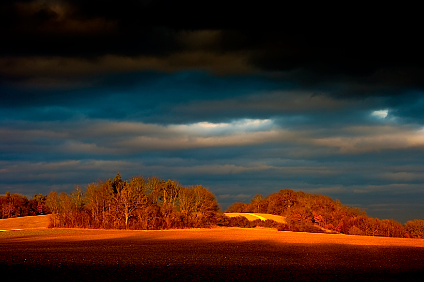 Der goldene Berg