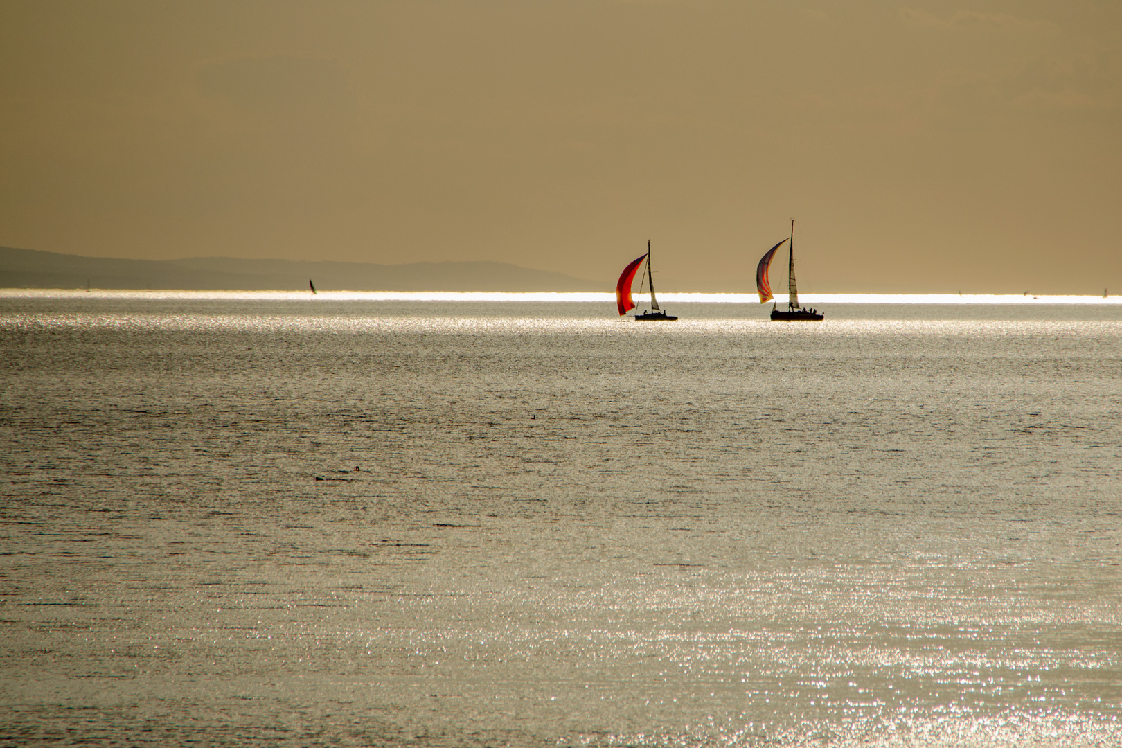 Der goldene Bodensee