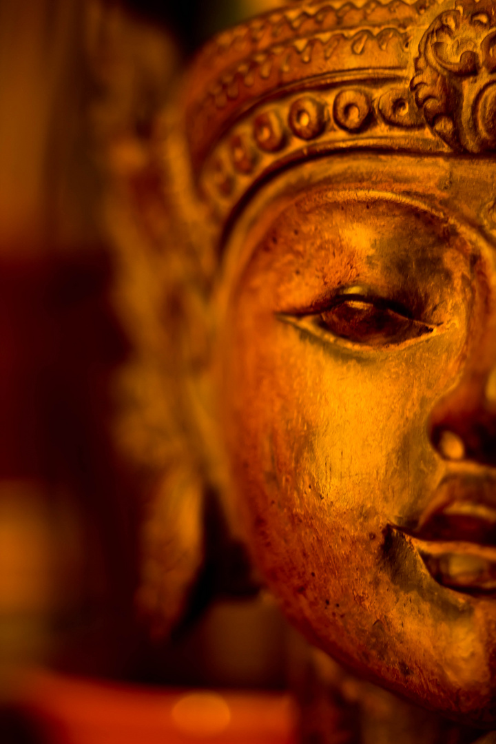 der goldene Buddha