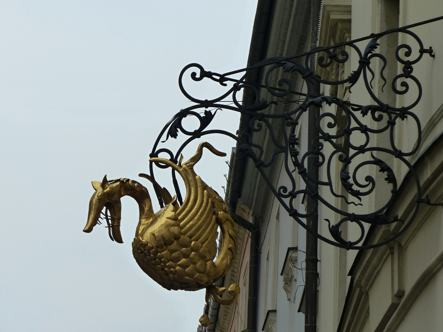 Der Goldene Drache