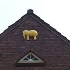 der goldene Elefant