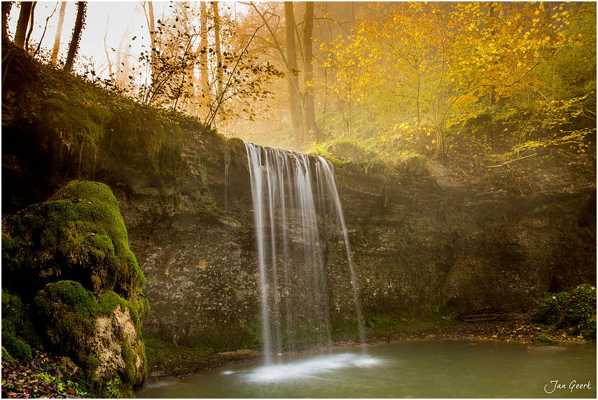 Der goldene Fall