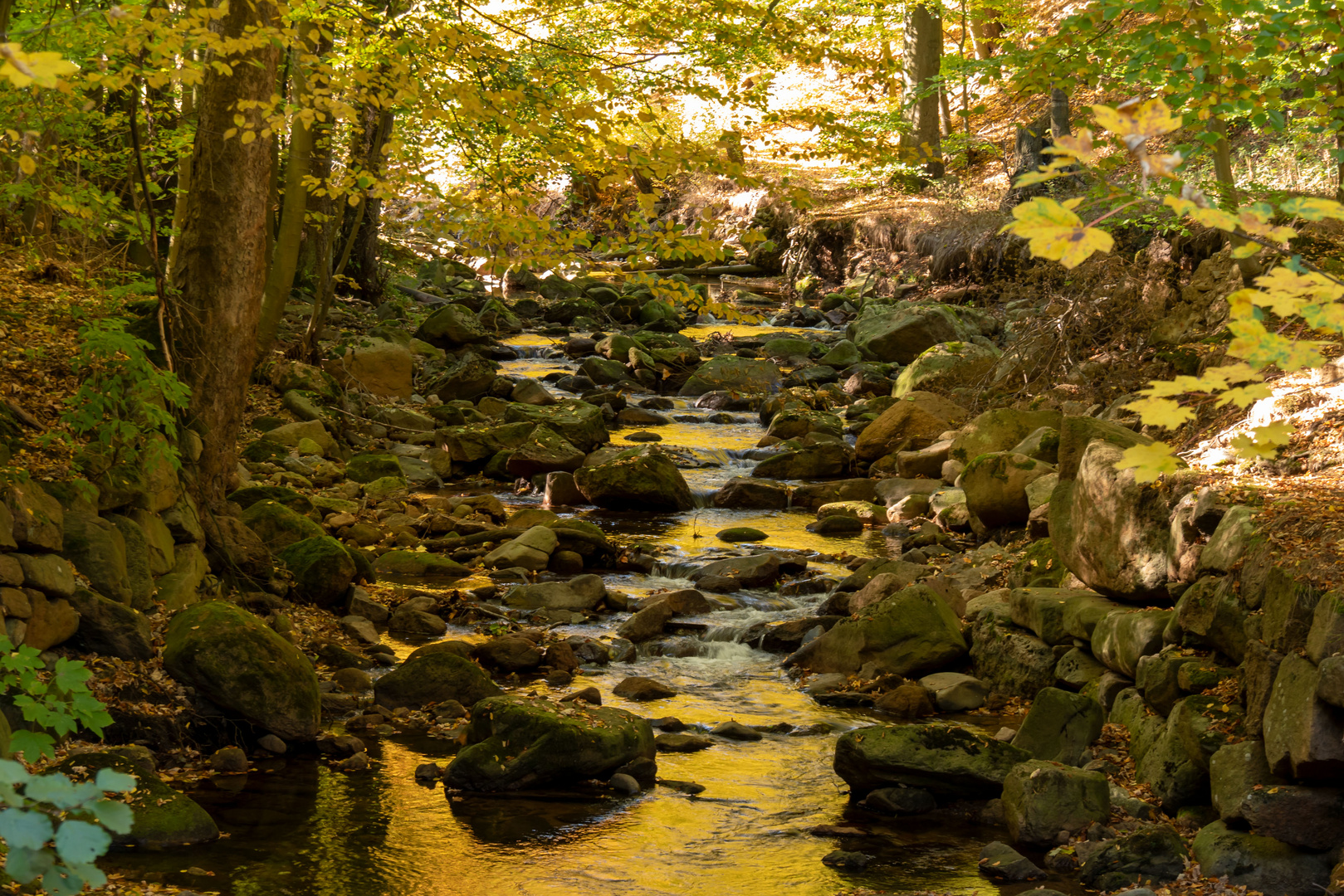 Der goldene Fluß