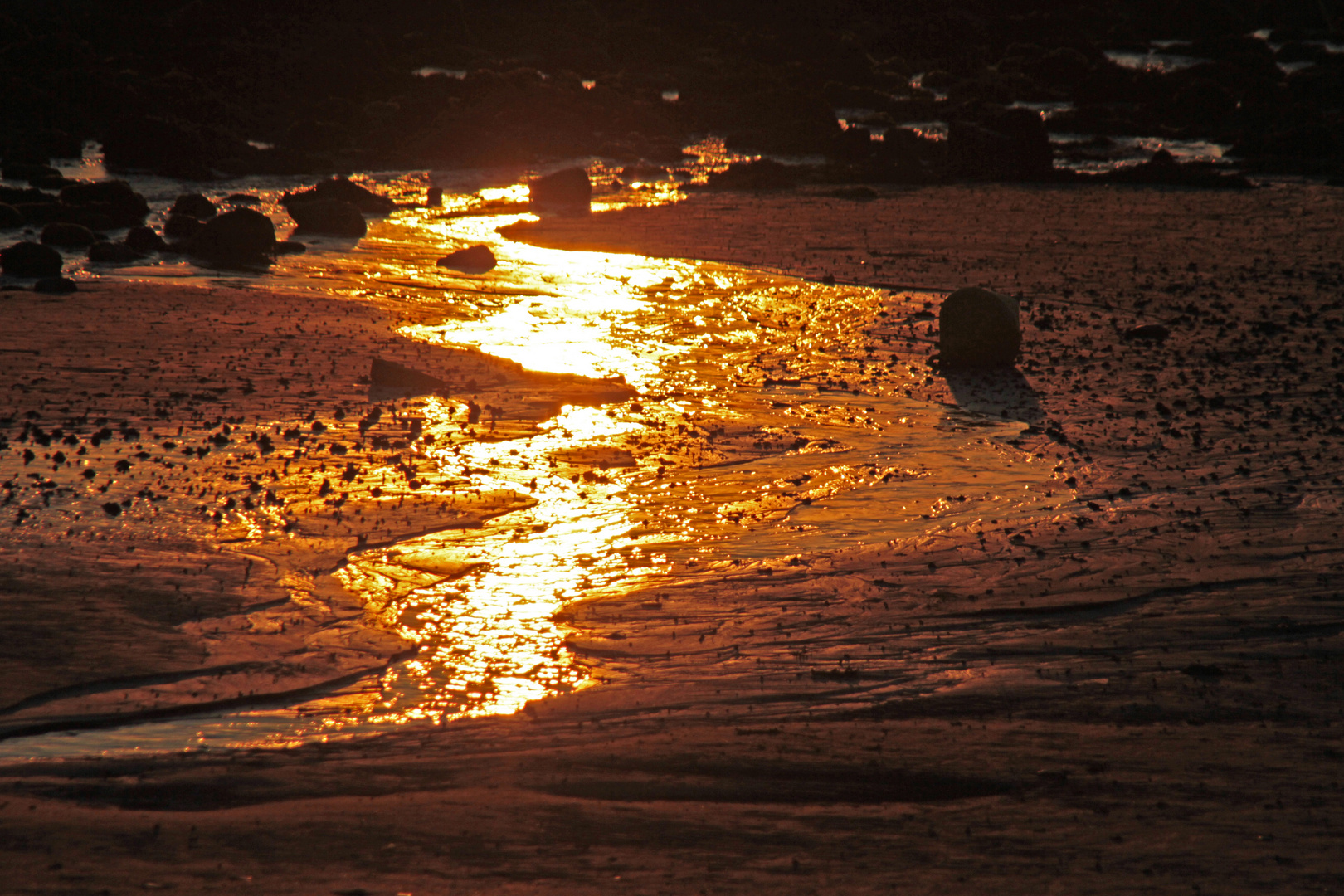 Der goldene Fluss - La rivière d'or