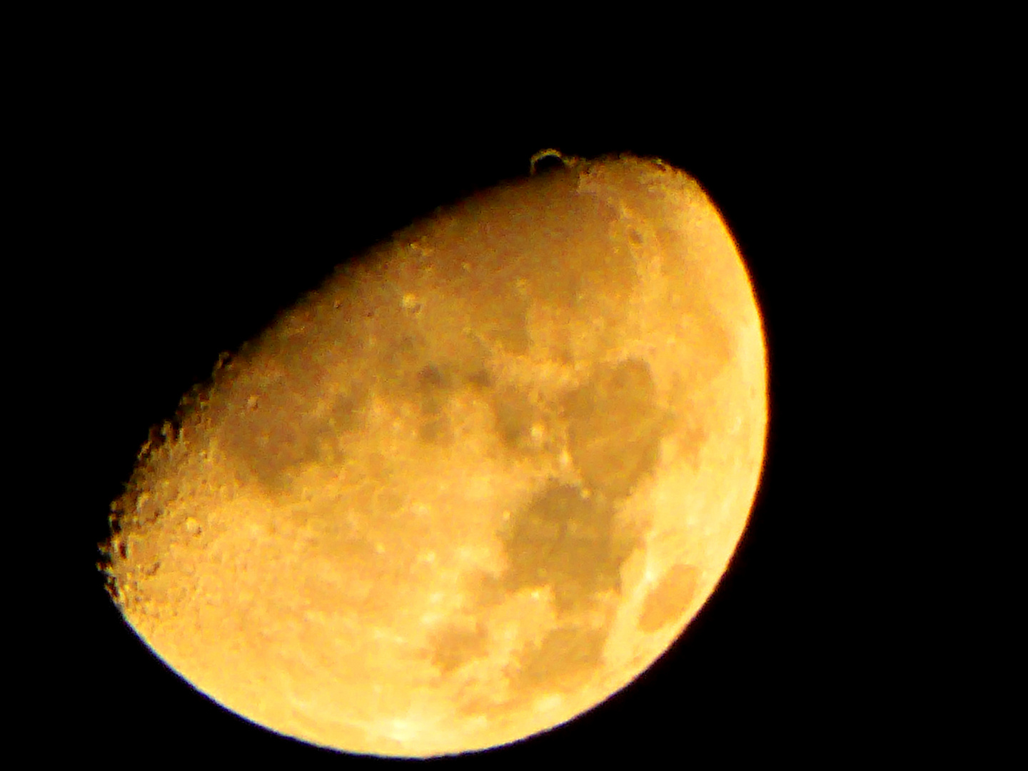 Der Goldene Henkel am Mond am 09.11.2016