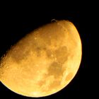 Der Goldene Henkel am Mond am 09.11.2016