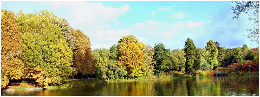 Der goldene Herbst.