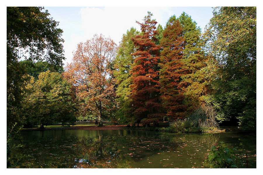 der goldene Herbst 2