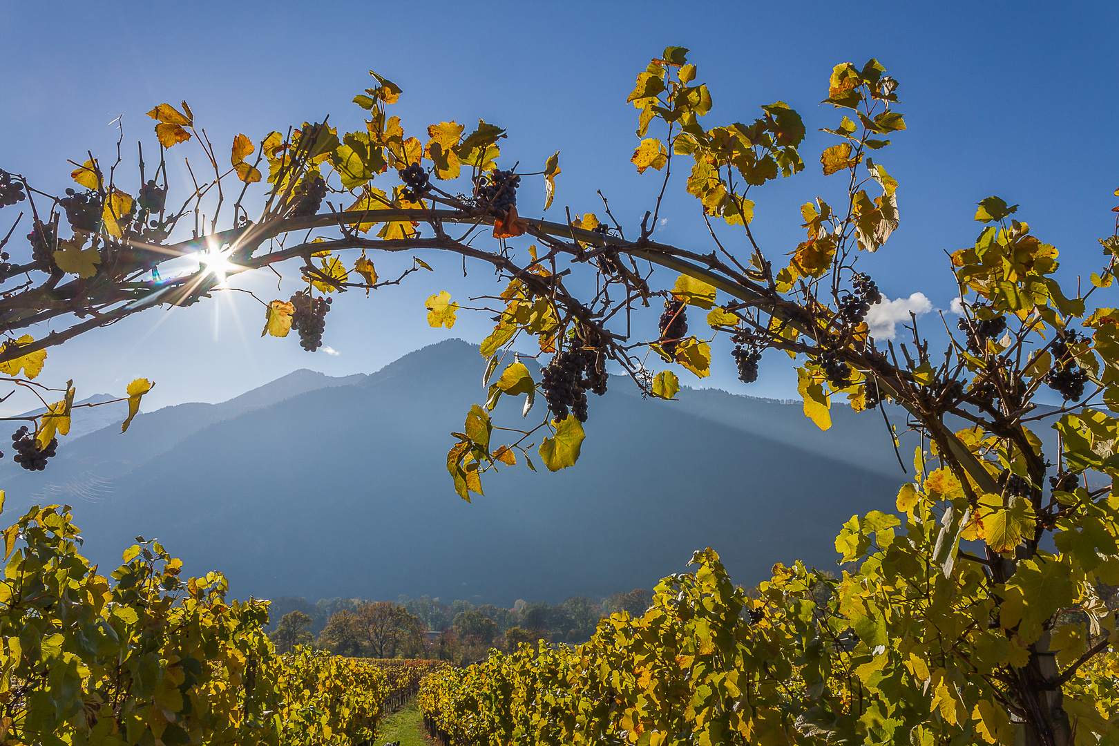 Der goldene Herbst