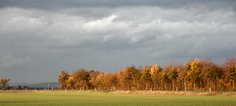 der goldene Herbst