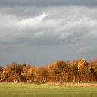 der goldene Herbst