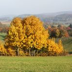 Der Goldene Herbst