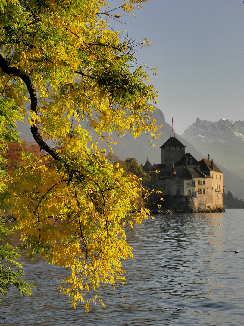 Der goldene Herbst