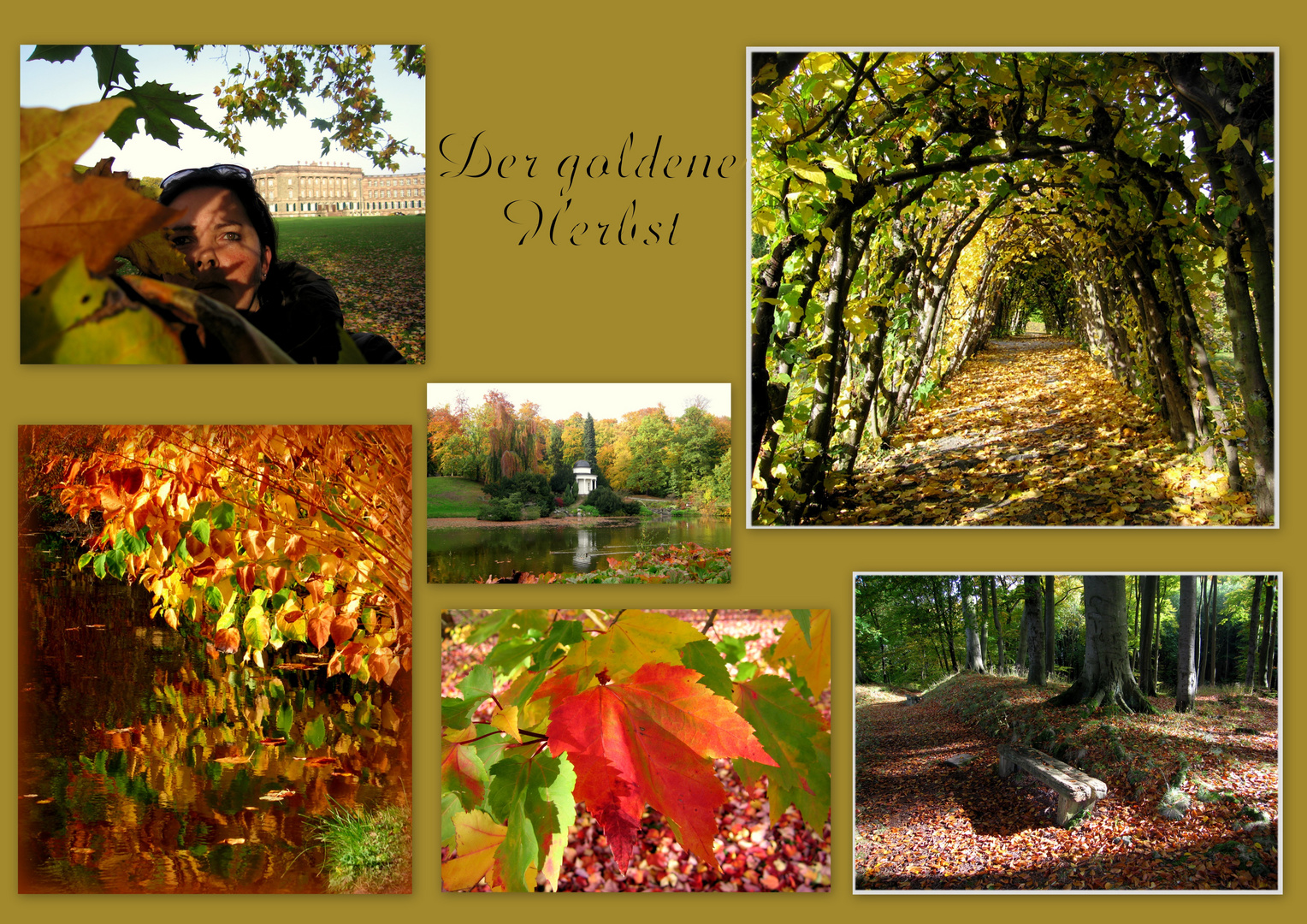 Der goldene Herbst