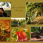 Der goldene Herbst