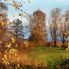 Der goldene Herbst