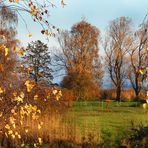 Der goldene Herbst