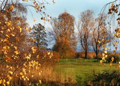 Der goldene Herbst