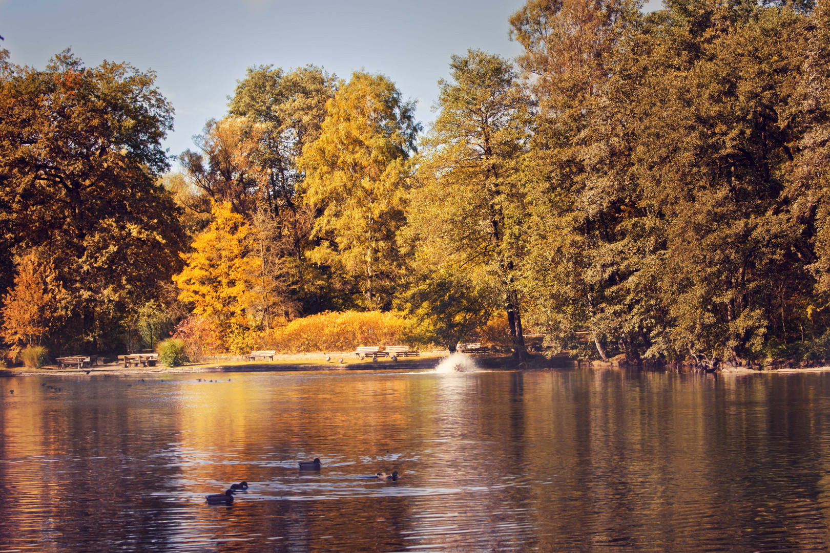 Der goldene Herbst