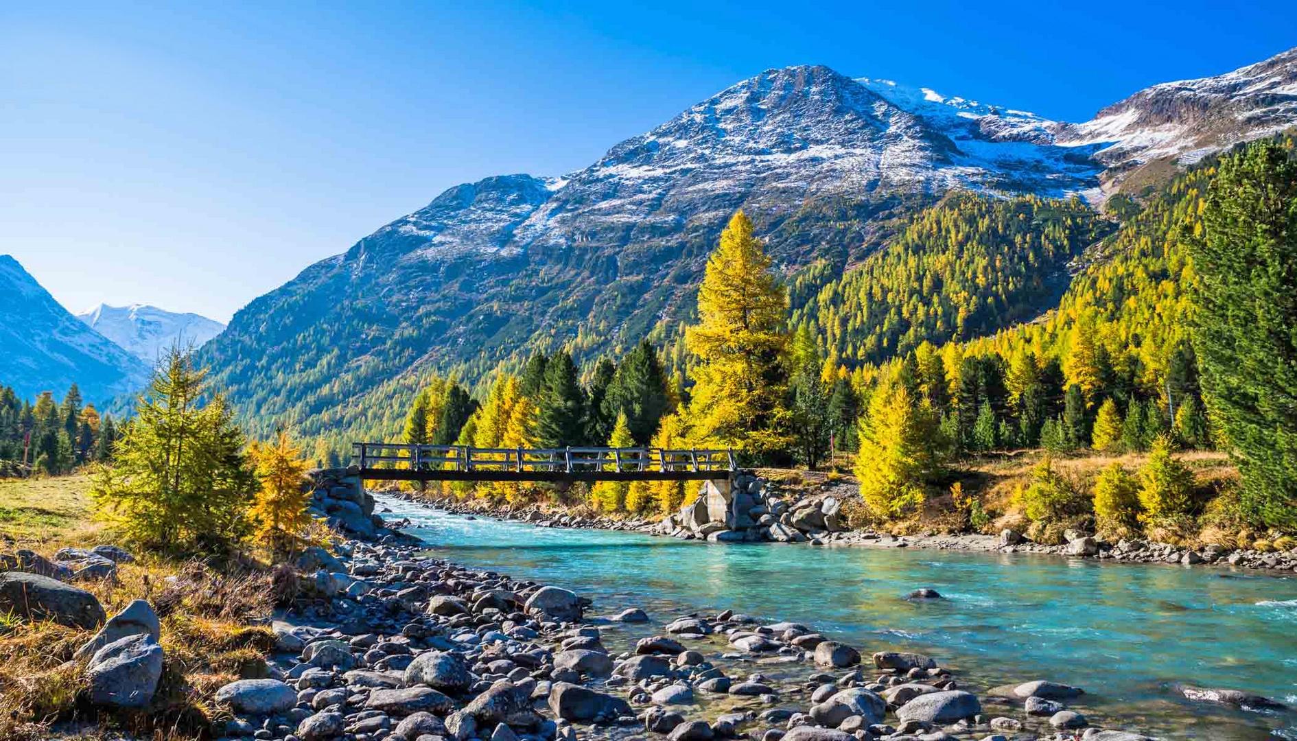 Der goldene Herbst an der Ova da Bernina