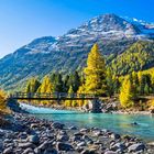 Der goldene Herbst an der Ova da Bernina