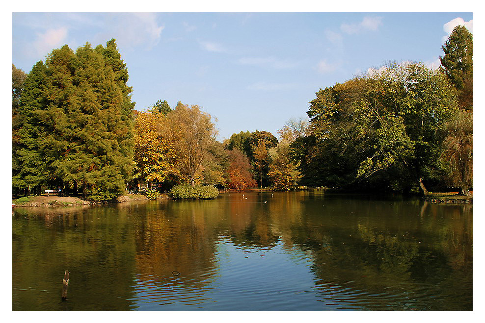 der goldene Herbst