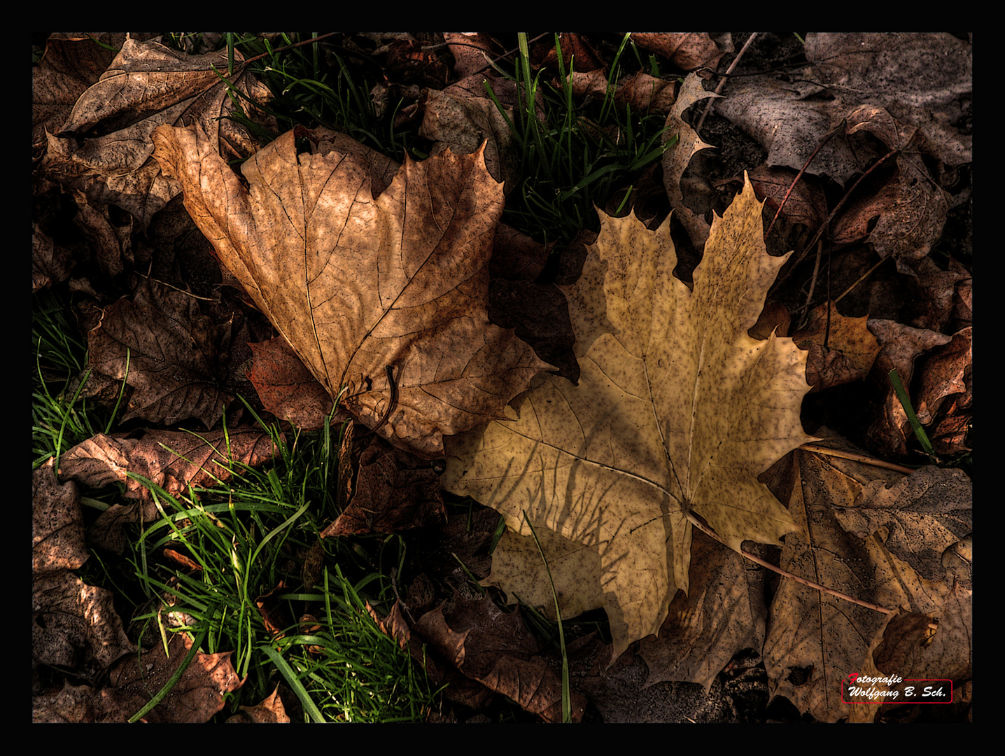 "Der Goldene Herbst"