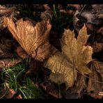 "Der Goldene Herbst"