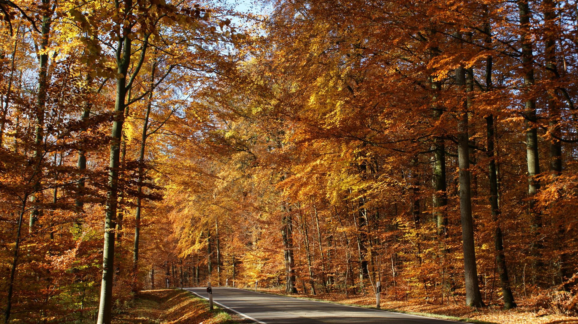 Der goldene Herbst