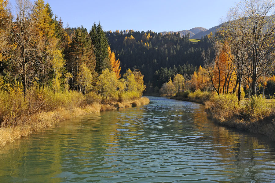 Der goldene Herbst......