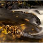 Der Goldene Herbst hält sich noch ein paar Tage