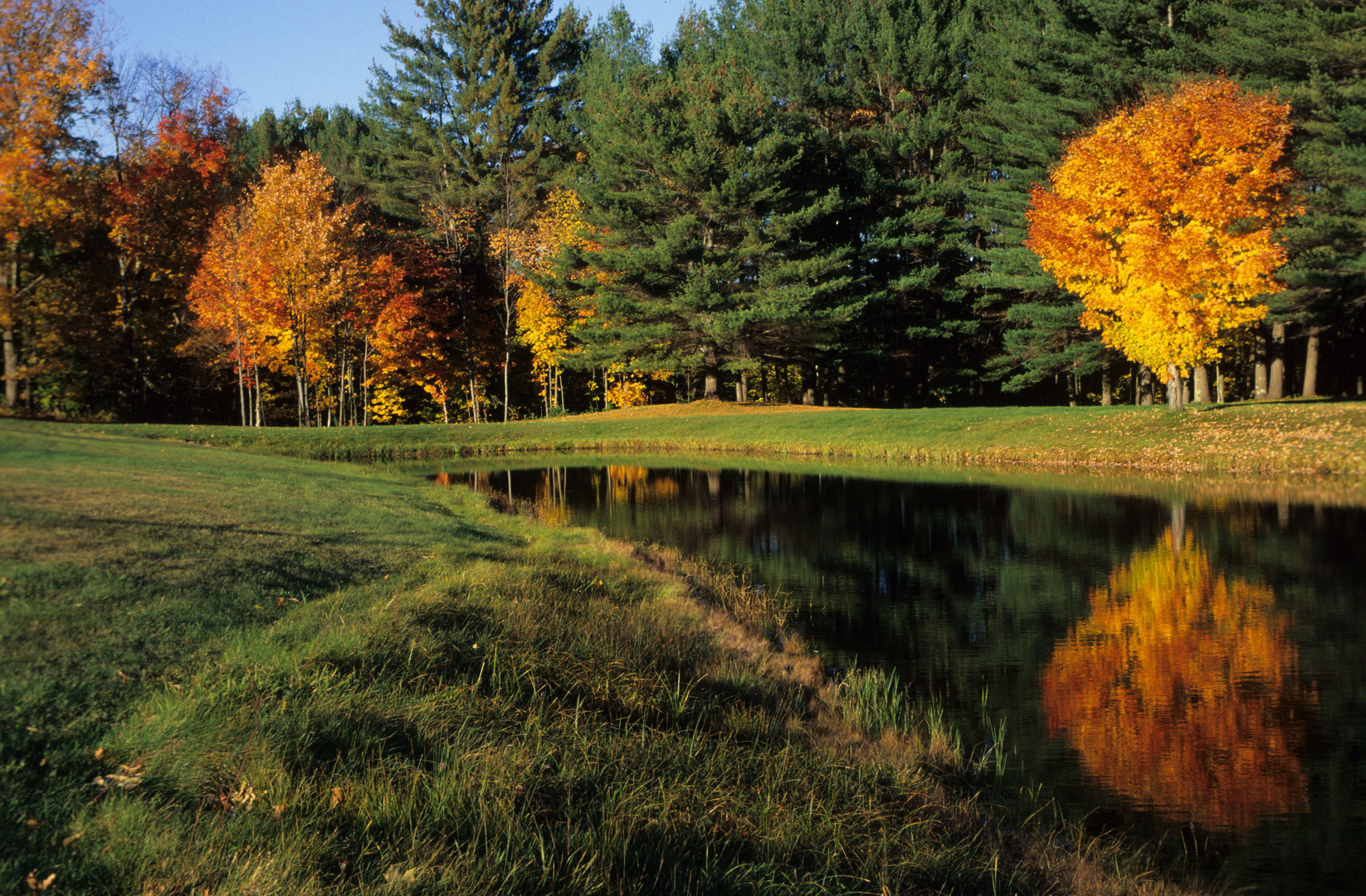 Der Goldene Herbst ist nun vorbei